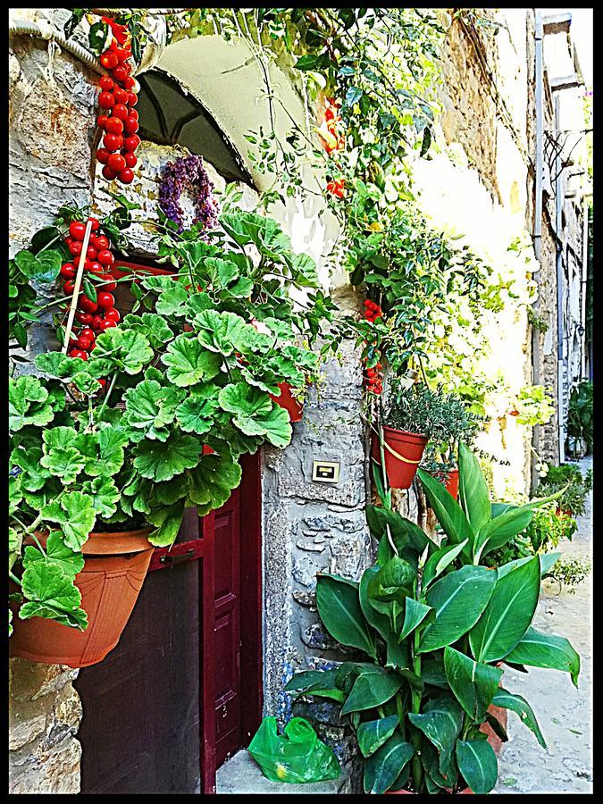 Mesta Mastic Exterior photo